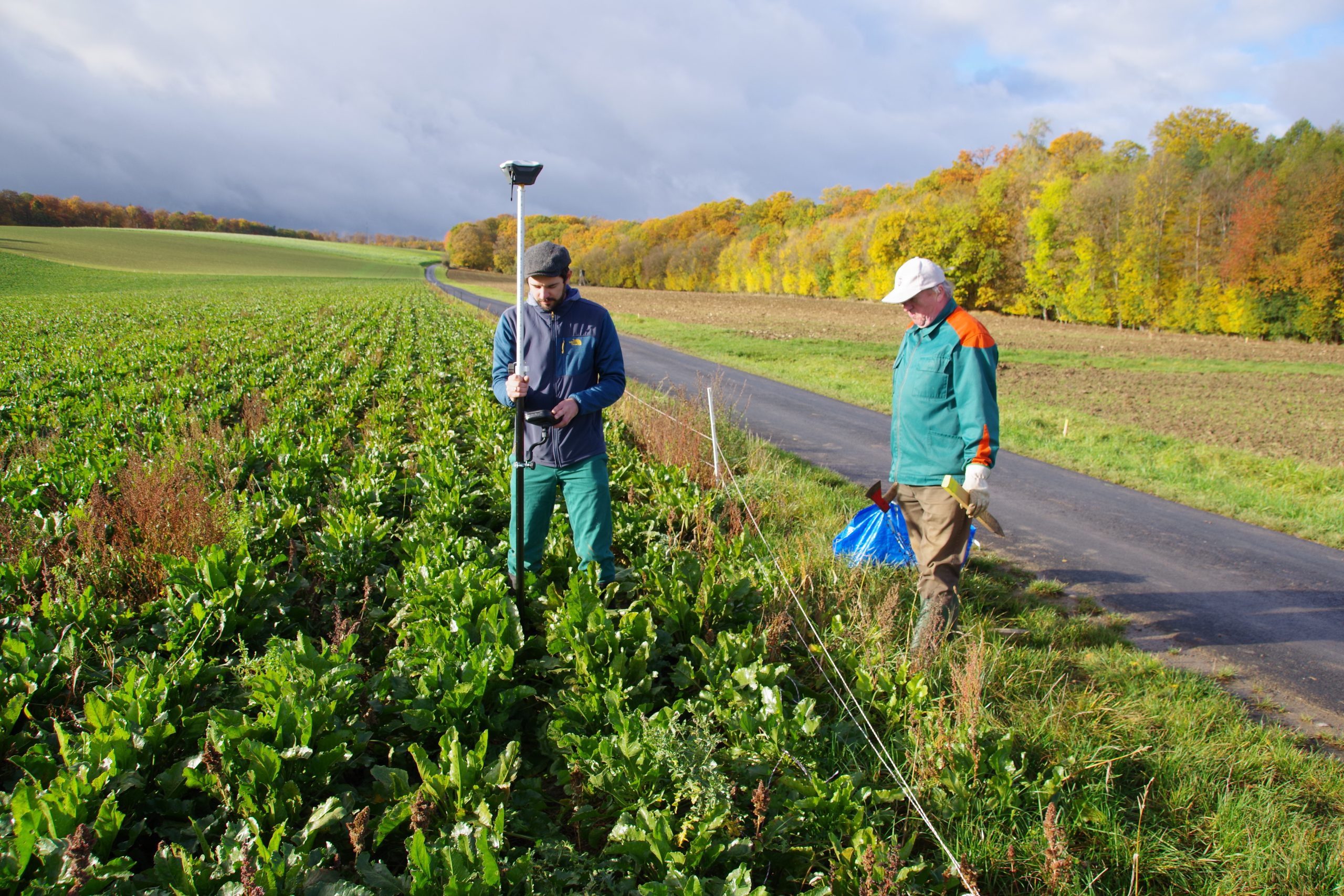 Himmelstadt, Unterfranken (MSP) Geophysikalische Prospektion